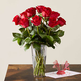 Long Stem Red Rose Vase