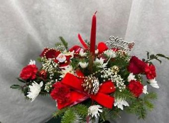 pxmas7499