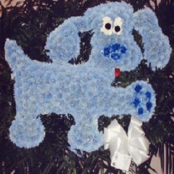 Pequa Blues Clues