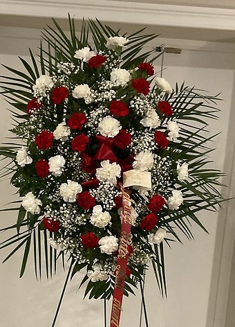 P red and white carnations