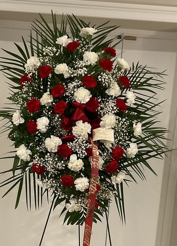 P red and white carnations