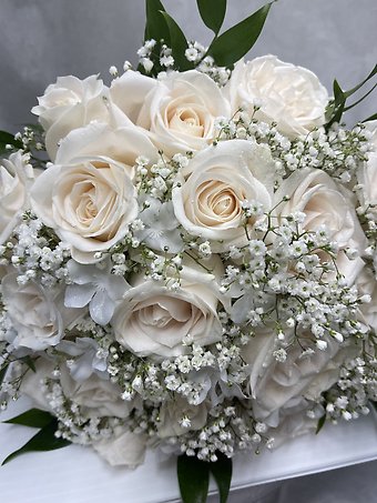 Classic white roses