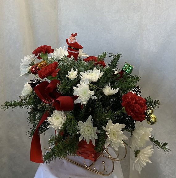 P Sled Arrangement