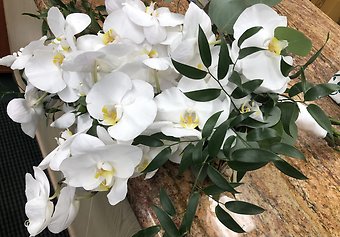 Phalenopsis orchids bridal cascade