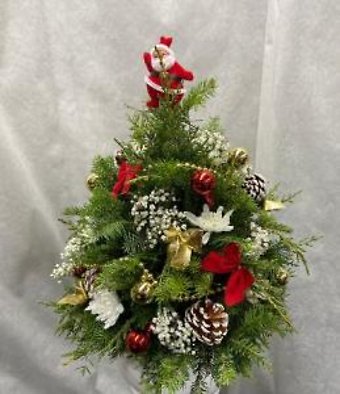 pxmastree5999