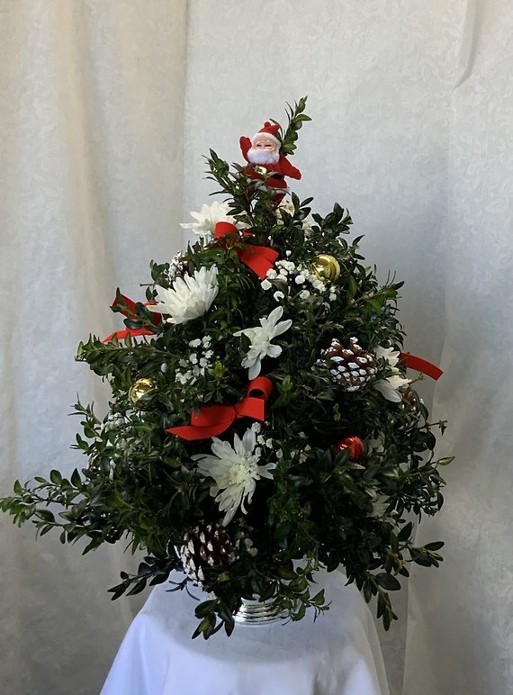 P Boxwood Tree
